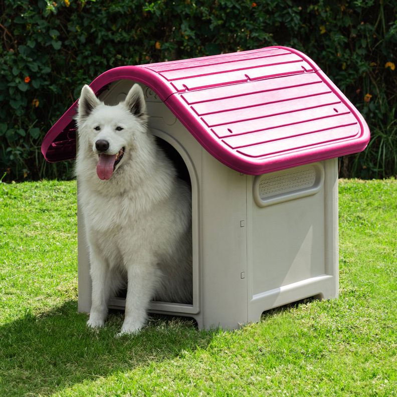 Casa Mascotas Perro Raza Grande Fucsia MQ QRubber-6