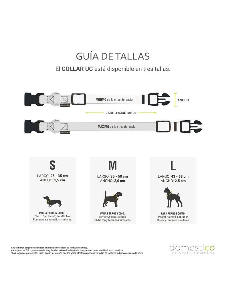 Pack Collar para Perro + Llavero Universidad Católica-7