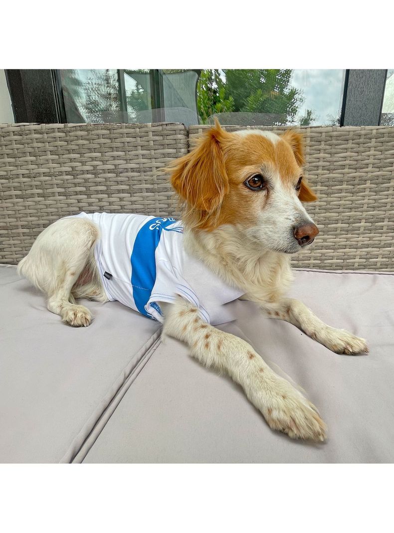 Camiseta para Perro Universidad Católica - 5 Tallas Disponible-3