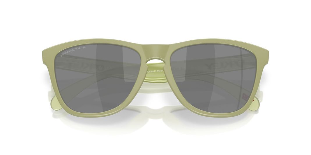 LENTE DE SOL OAKLEY | OO9013 M2 - Frogskins-4