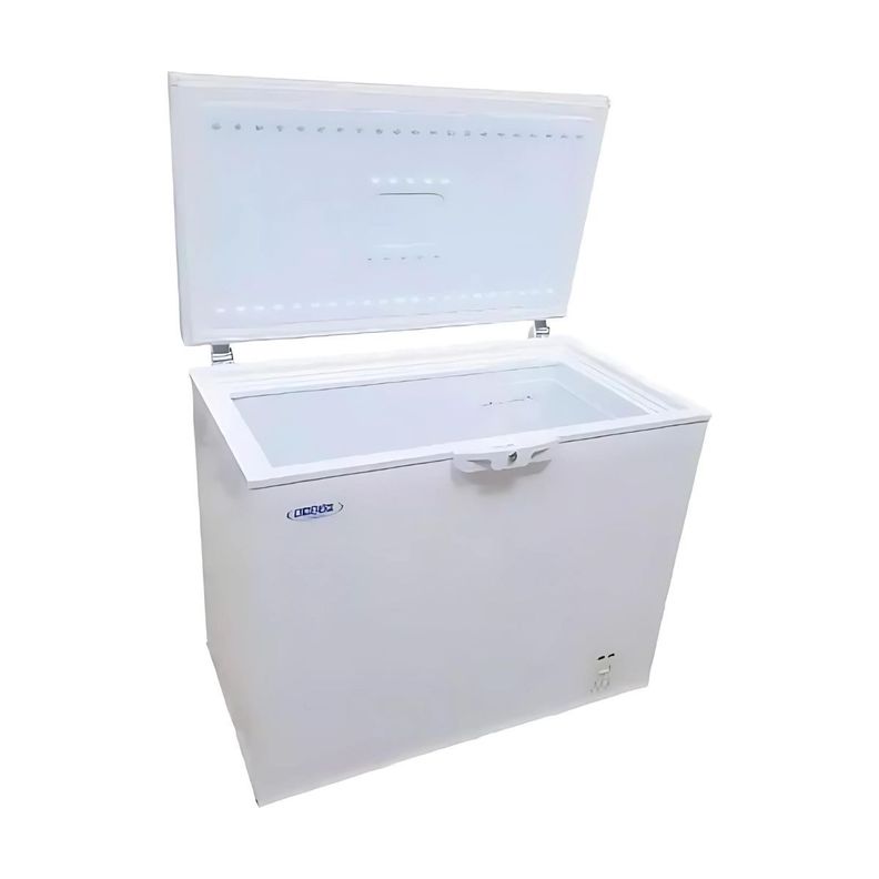 Congeladora Bd-230, 230 Litros, BOZZO-1