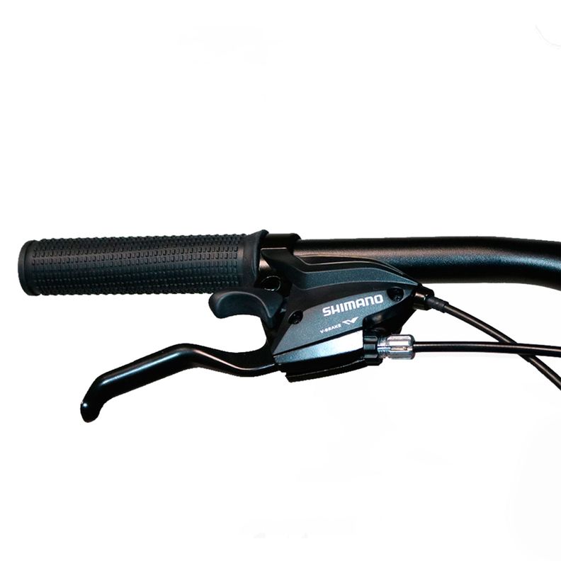 Bicicleta Phoenix MTB Aro 29" 21 Velocidades Freno Disco Negro-3