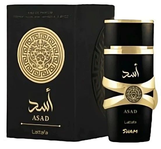 PERFUME ASAD FOR MEN EDP 100 ML-0