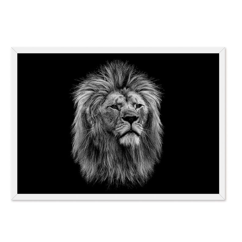 Cuadro Individual Leon Black