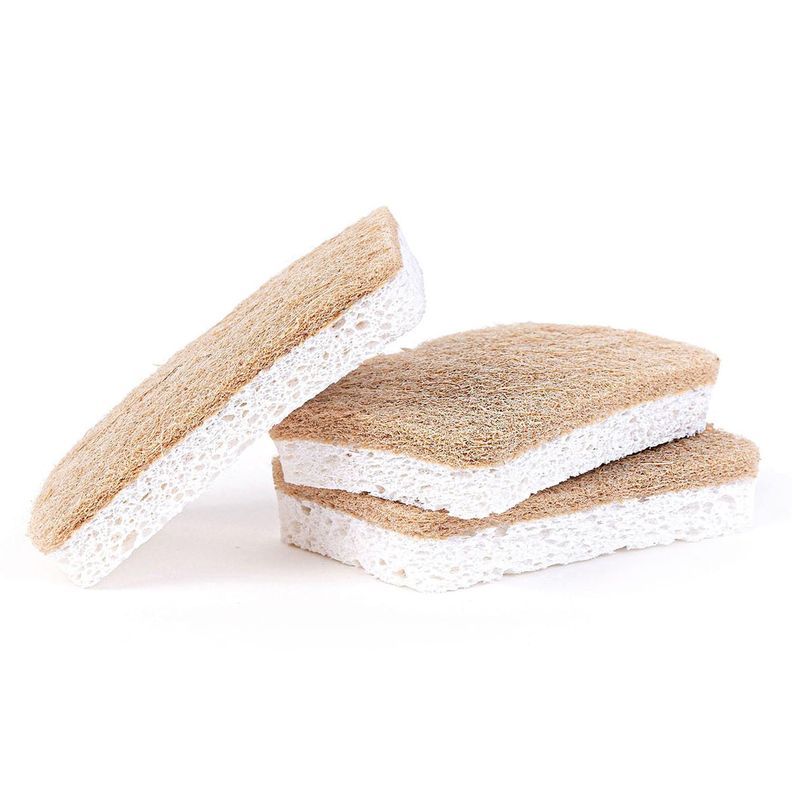 Esponjas Compostables-0