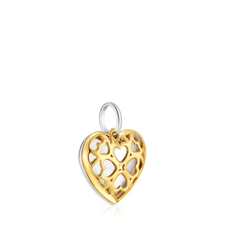 Colgante doble corazón bicolor Medallions-1