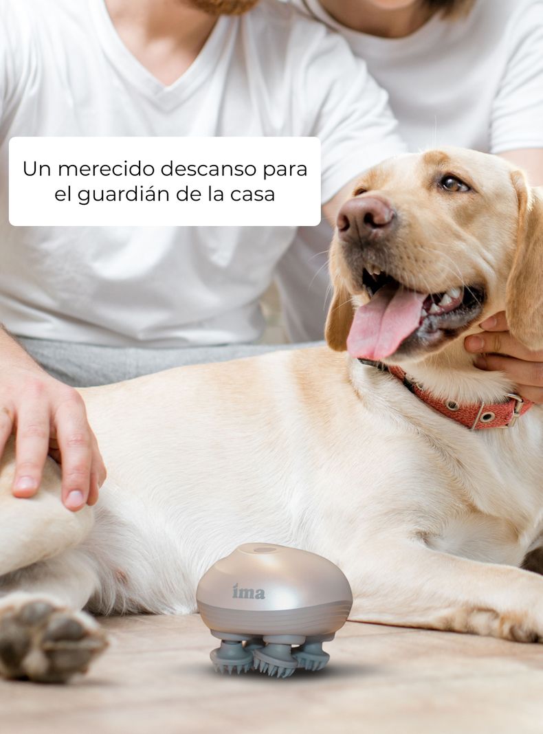 Masajeador de Mascotas IMA -3