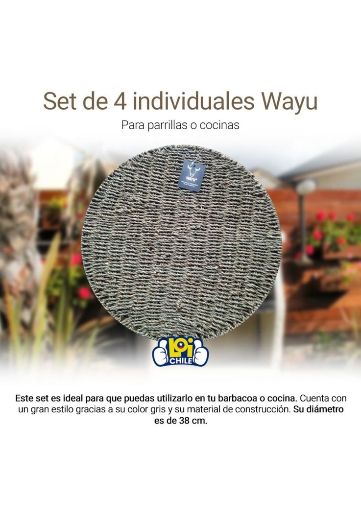 Set De 4 Individuales Redondos Wayu-1