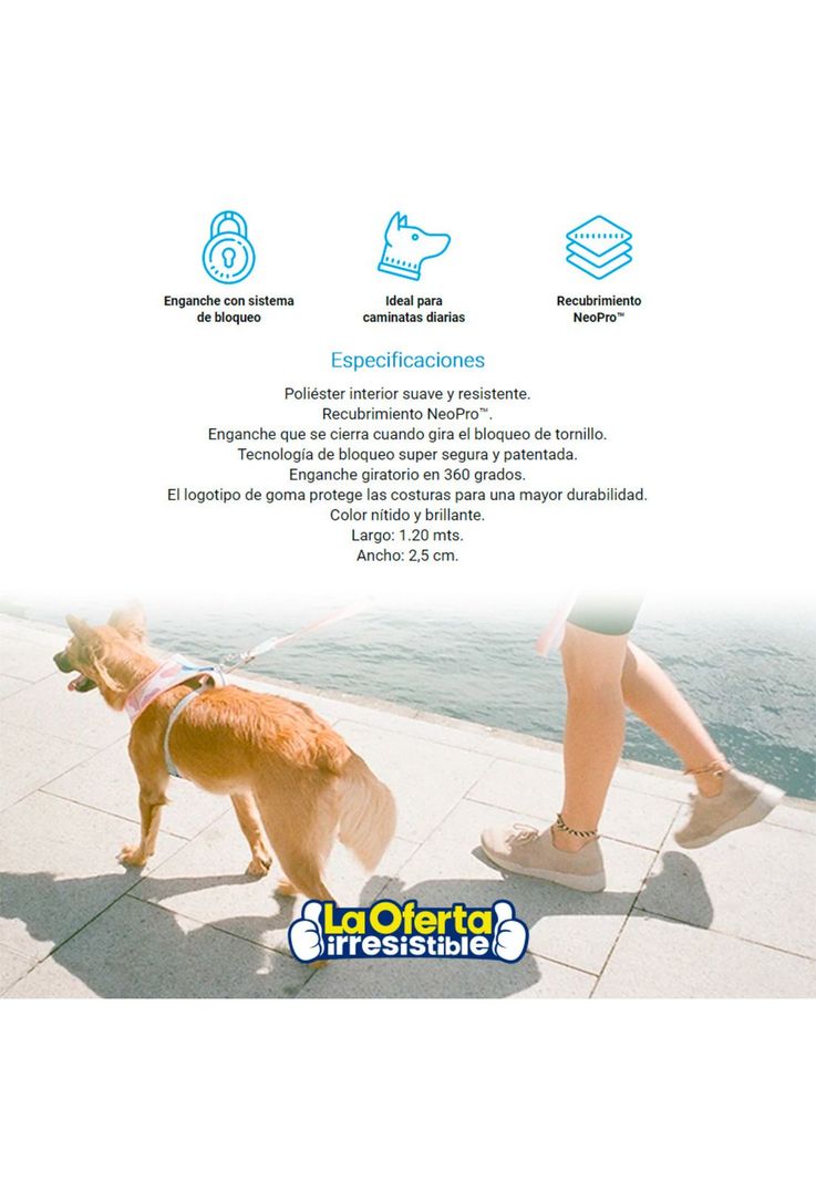 Correa Para Perro Zedoog Columbia Large-2