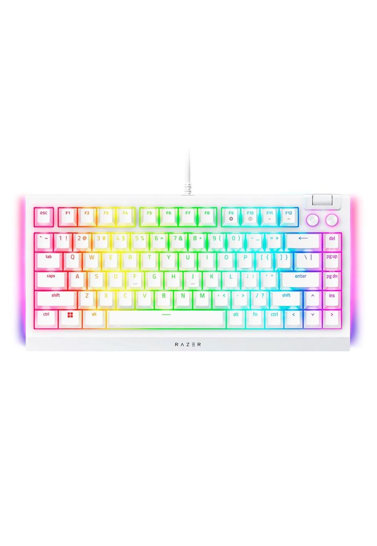 Teclado Gamer Razer Blackwidow V4 75% Switch Orange Mercury-1