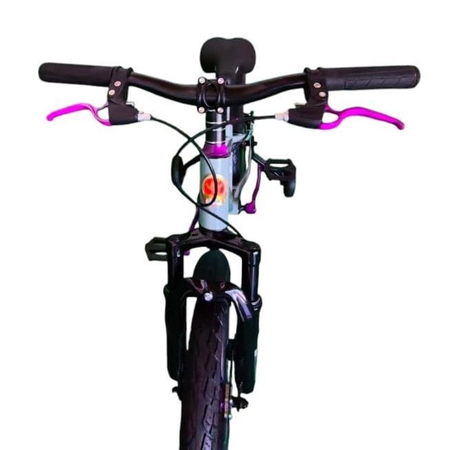 Bicicleta Aro 16  CfBike Cfeng Con Freno Disco Gris.-5