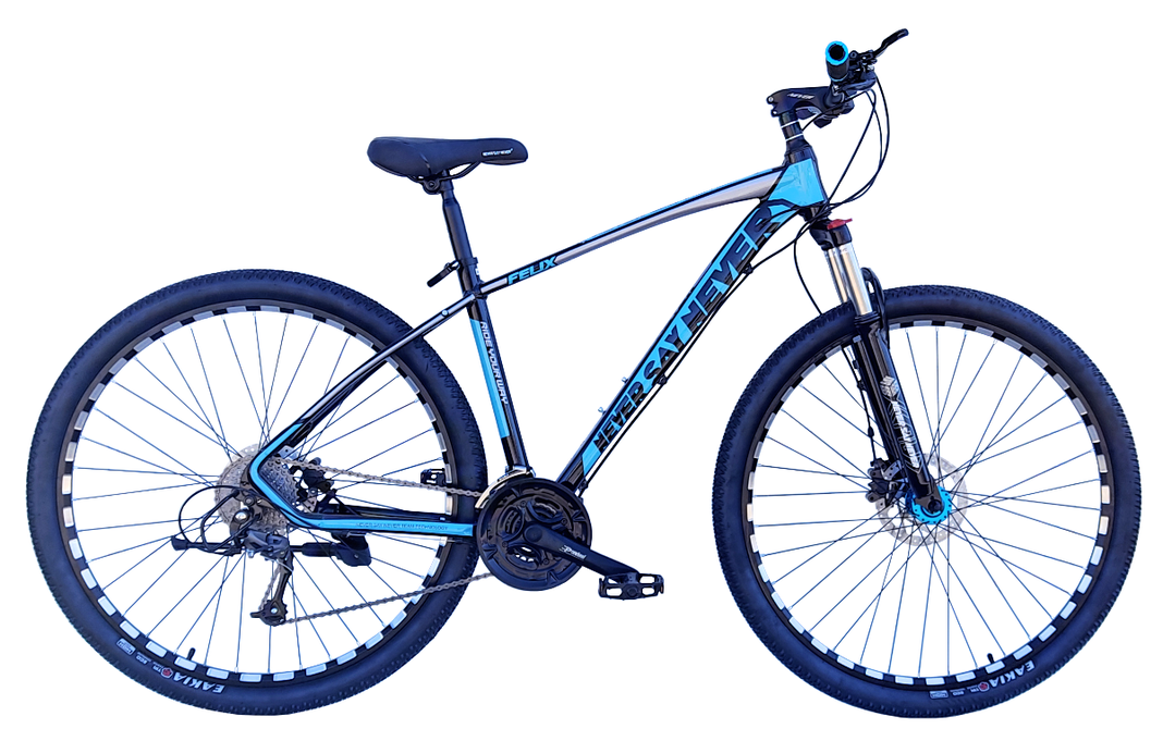 Bicicleta aro 29 Never Say Never Azul-0