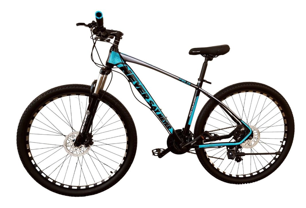 Bicicleta aro 29 Never Say Never Azul-1