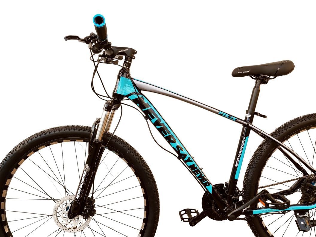 Bicicleta aro 29 Never Say Never Azul-2