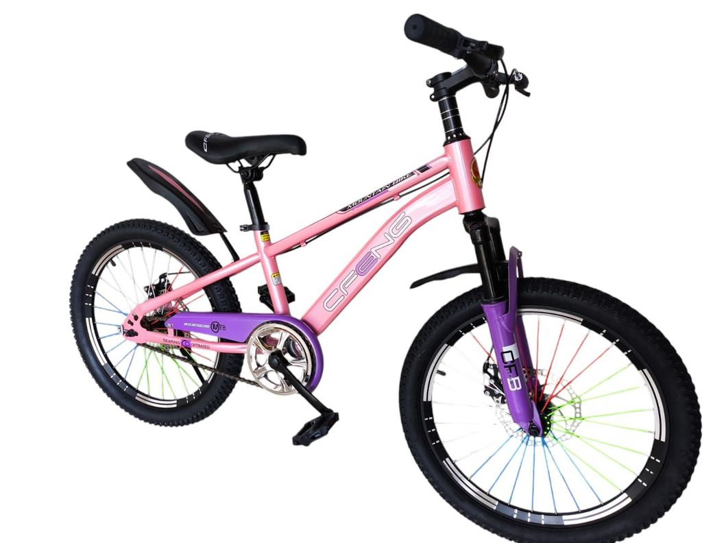 Bicicleta Aro 20  Cfeng Con Freno Disco Rosado-1