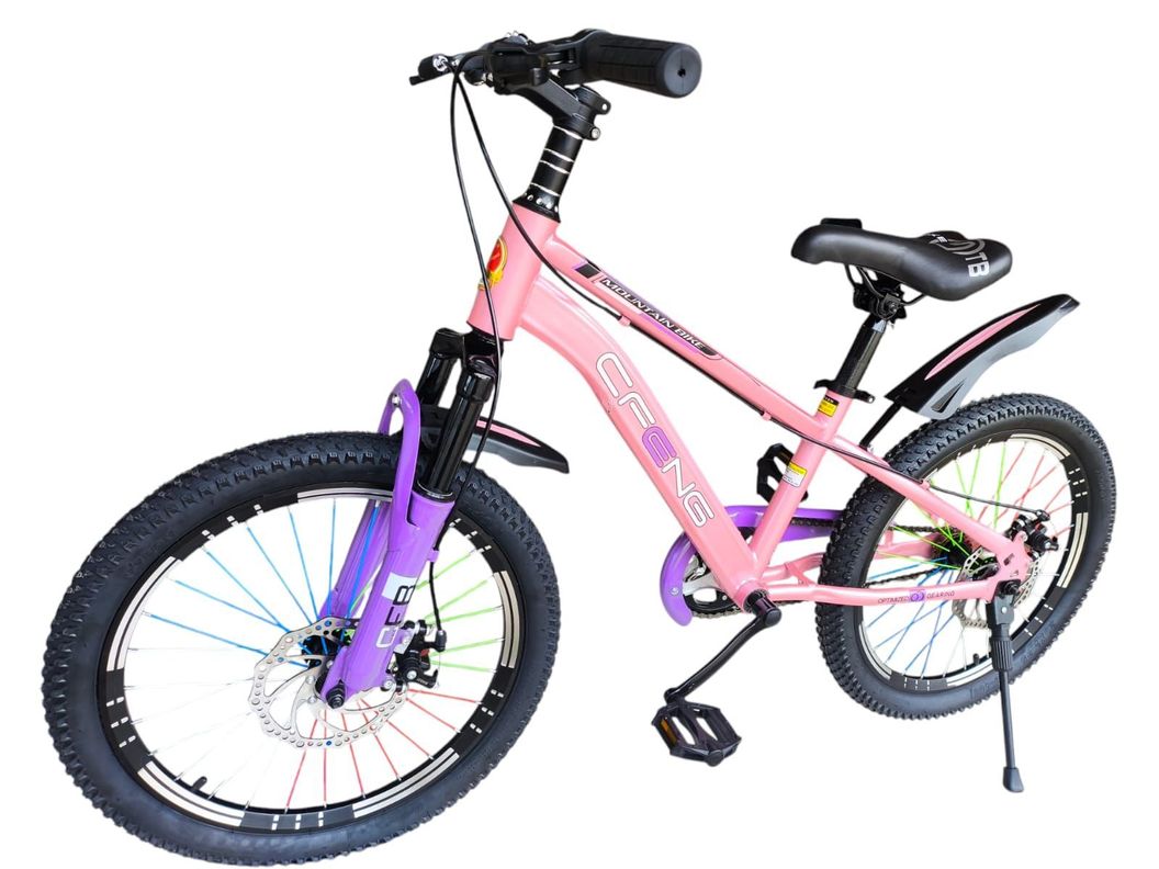 Bicicleta Aro 20  Cfeng Con Freno Disco Rosado-2