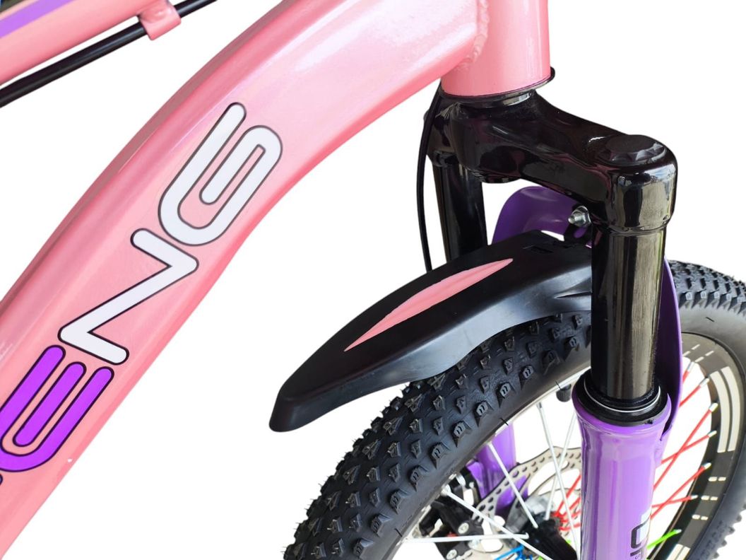 Bicicleta Aro 20  Cfeng Con Freno Disco Rosado-5