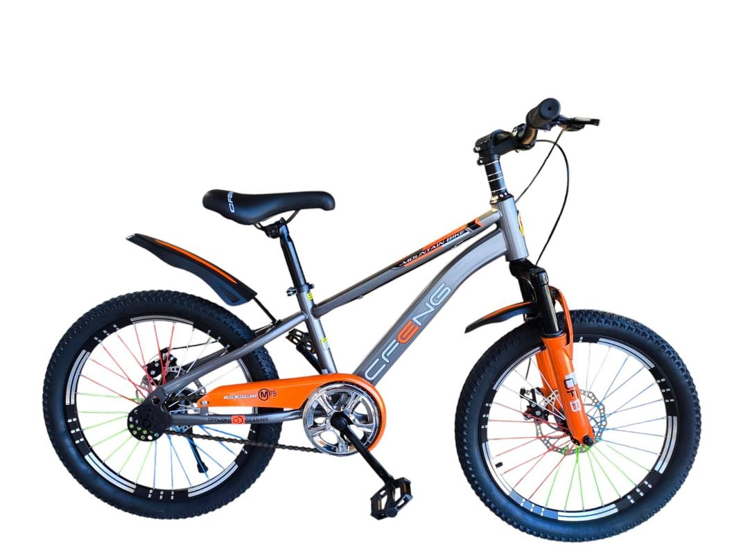 Bicicleta Aro 20  Cfeng Con Freno Disco Gris-0