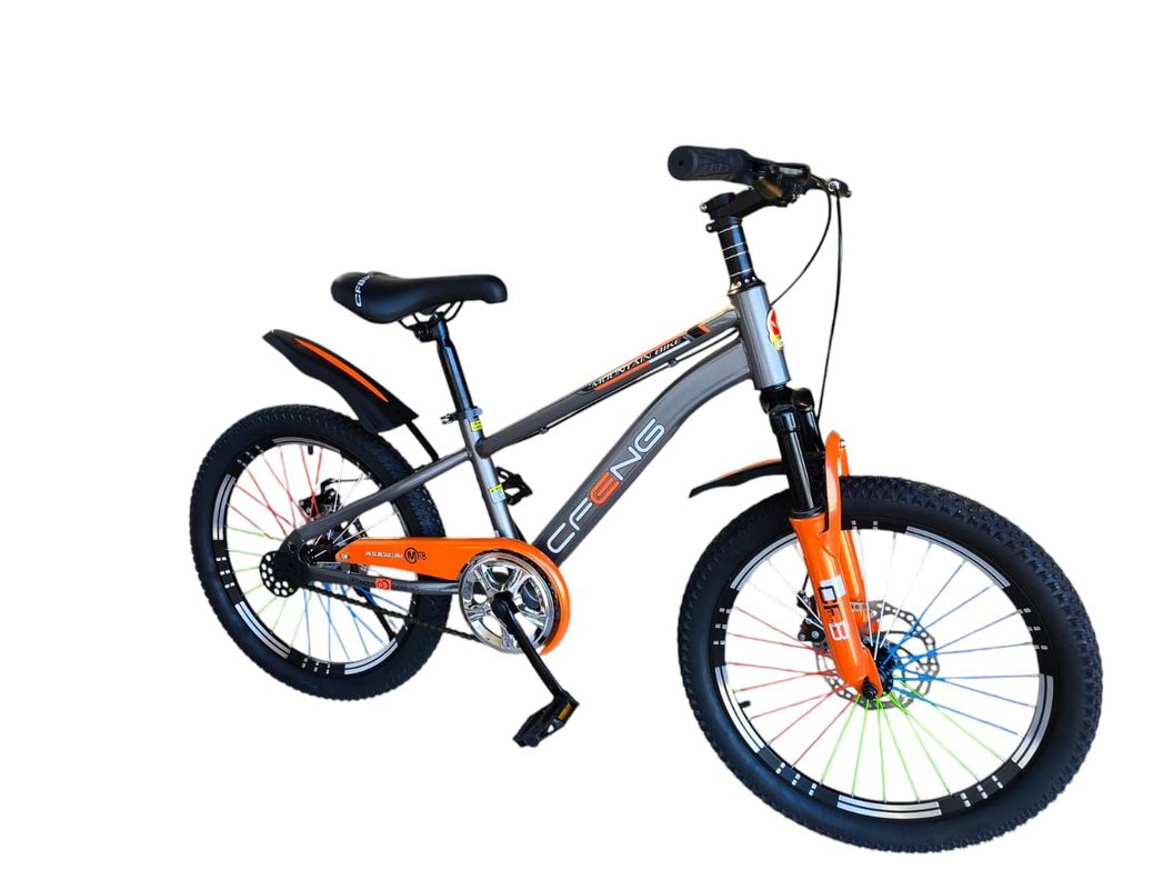 Bicicleta Aro 20  Cfeng Con Freno Disco Gris-1