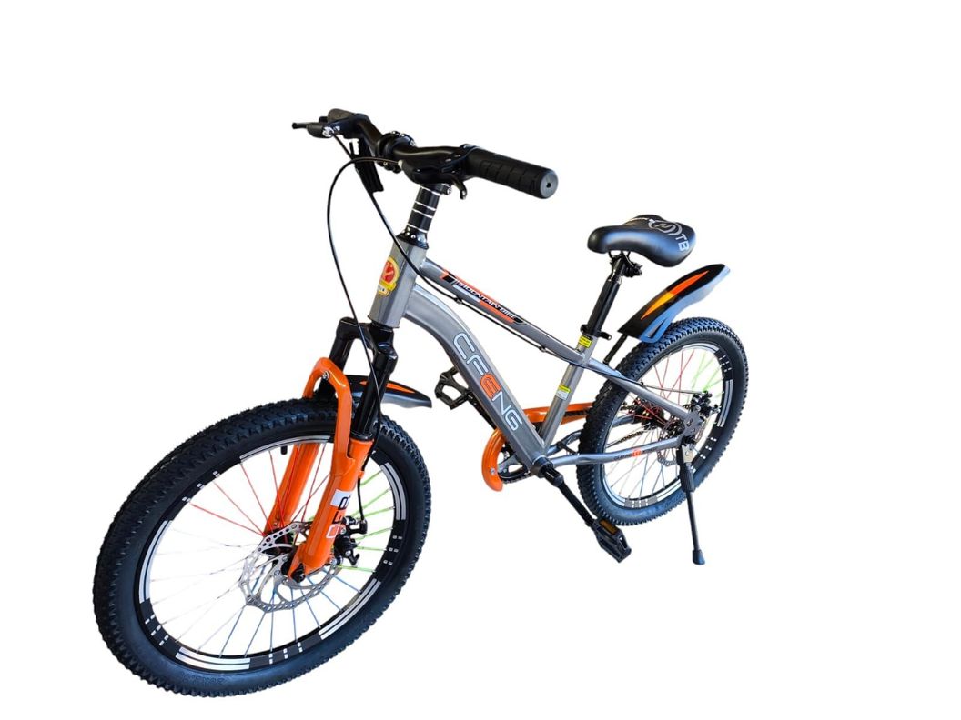 Bicicleta Aro 20  Cfeng Con Freno Disco Gris-2
