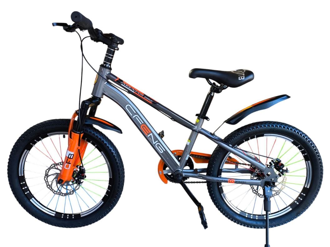 Bicicleta Aro 20  Cfeng Con Freno Disco Gris-3