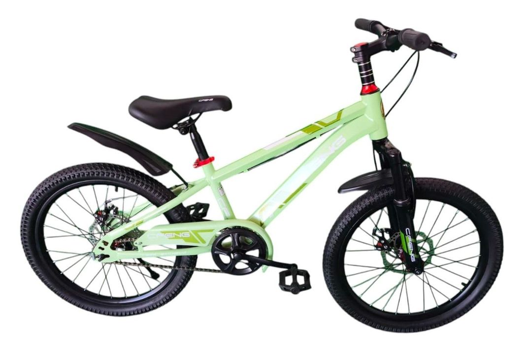 Bicicleta Aro 20  Cfeng Con Freno Disco Verde-0