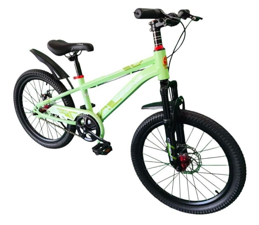 Bicicleta Aro 20  Cfeng Con Freno Disco Verde-1