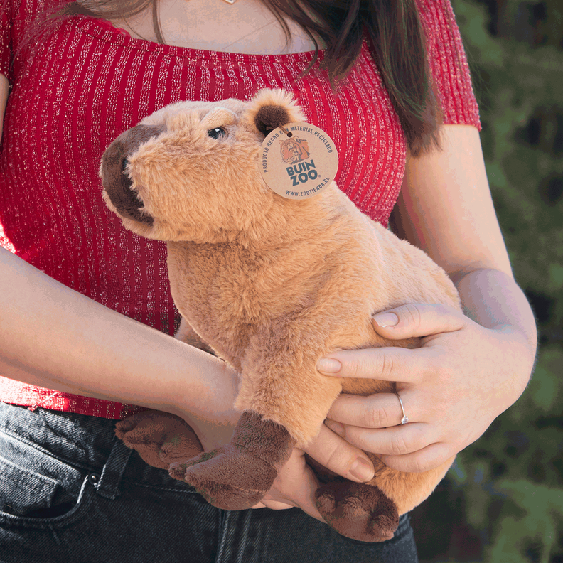 Peluche Capibara Sentado 30 cm-2