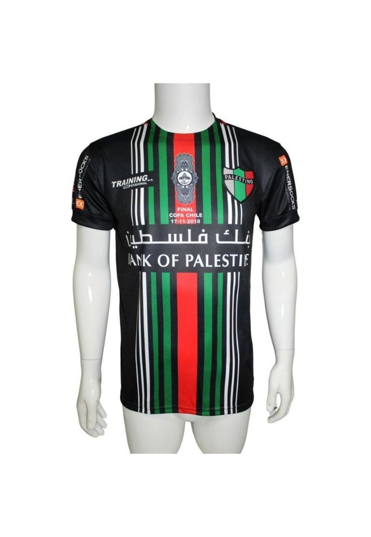 Camiseta Palestino 2018 Visita Ed. Final Copa Chile Training-0