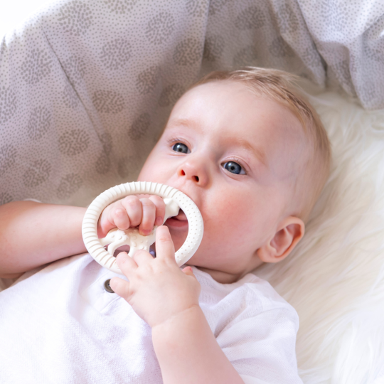 Sophie La Girafe Mordedor Circular Sensorial Dentición Bebe-2