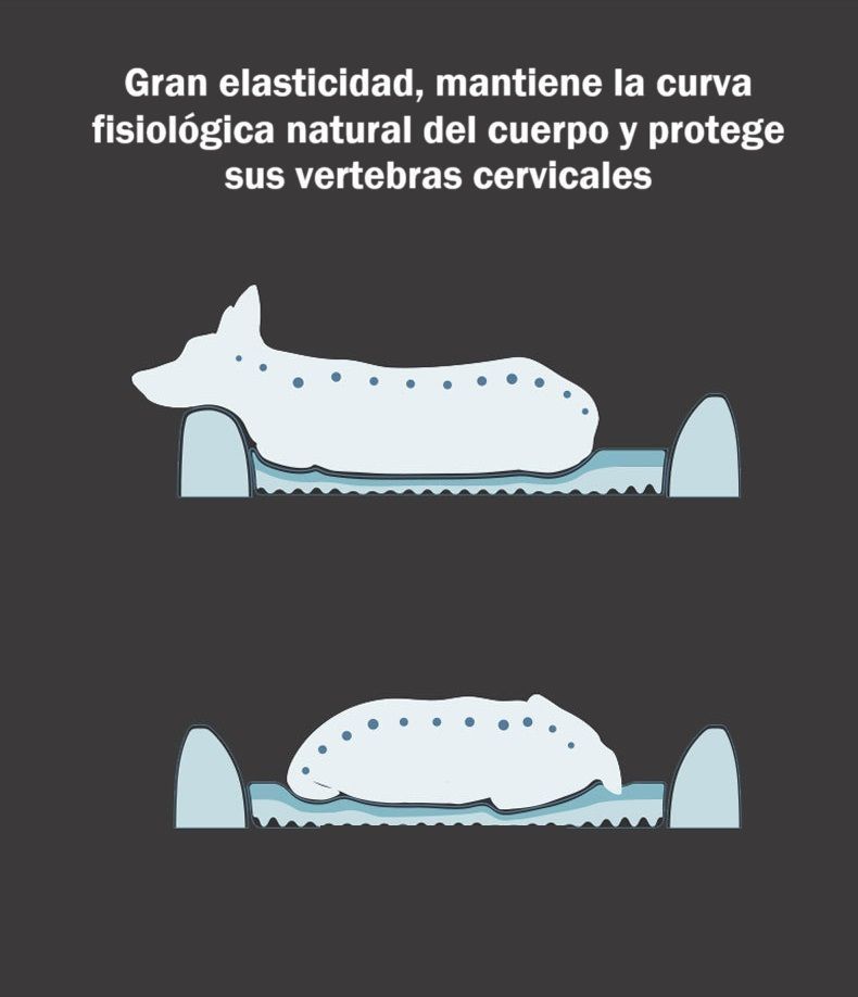 Cama Colchón Ortopédico para Perros 80x60cm Azul-1