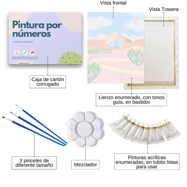 Pintura con números en bastidor 40x50 - Atacama Mágico - Painting by numbers-1
