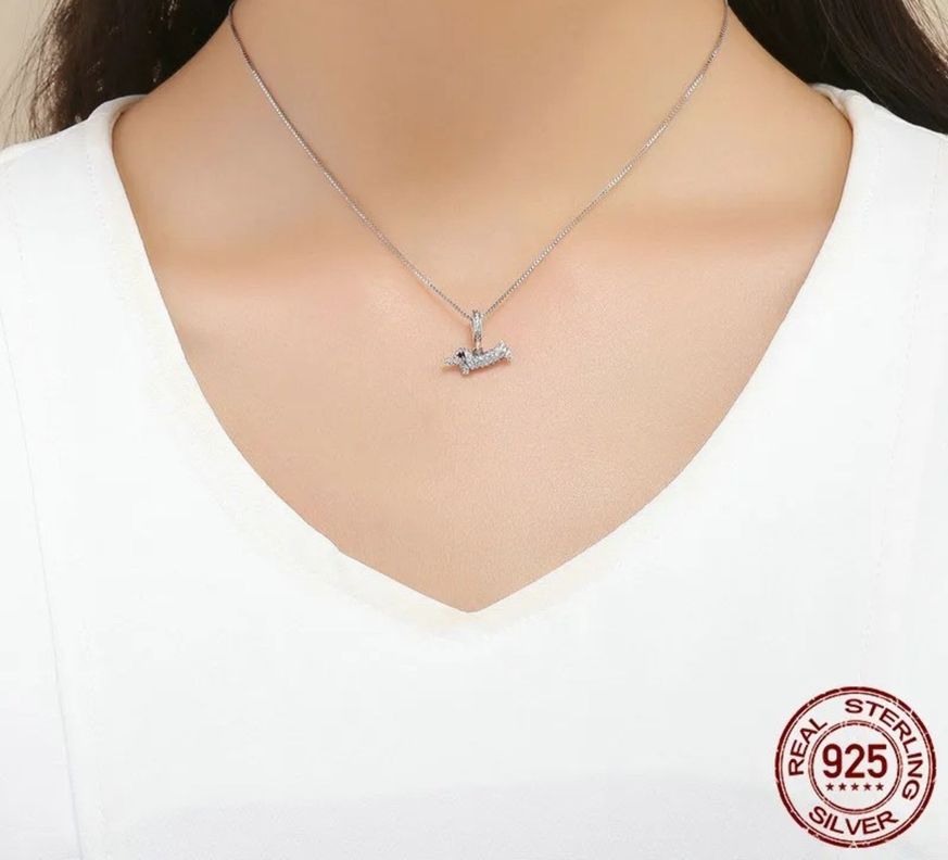 Collar Perro Salchicha teckel Dachshund Plata 925-1