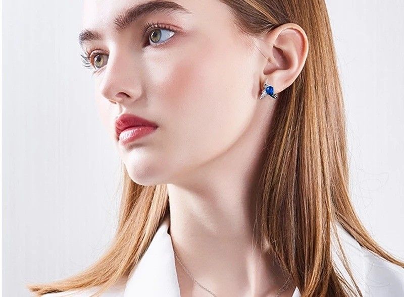 Aros Colibrí Plata 925 Elegante-1