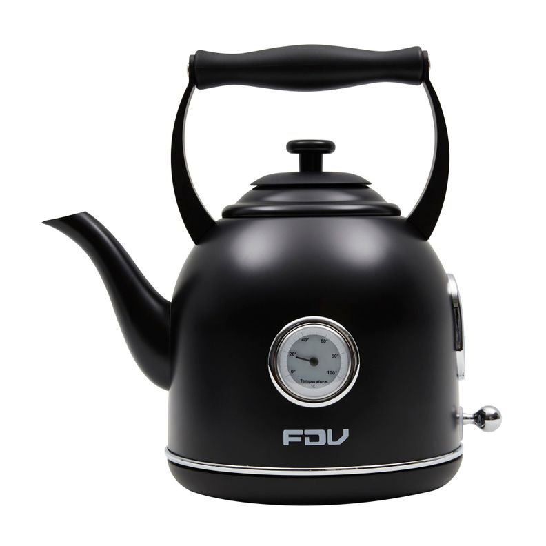 Hervidor FDV Iconic-0