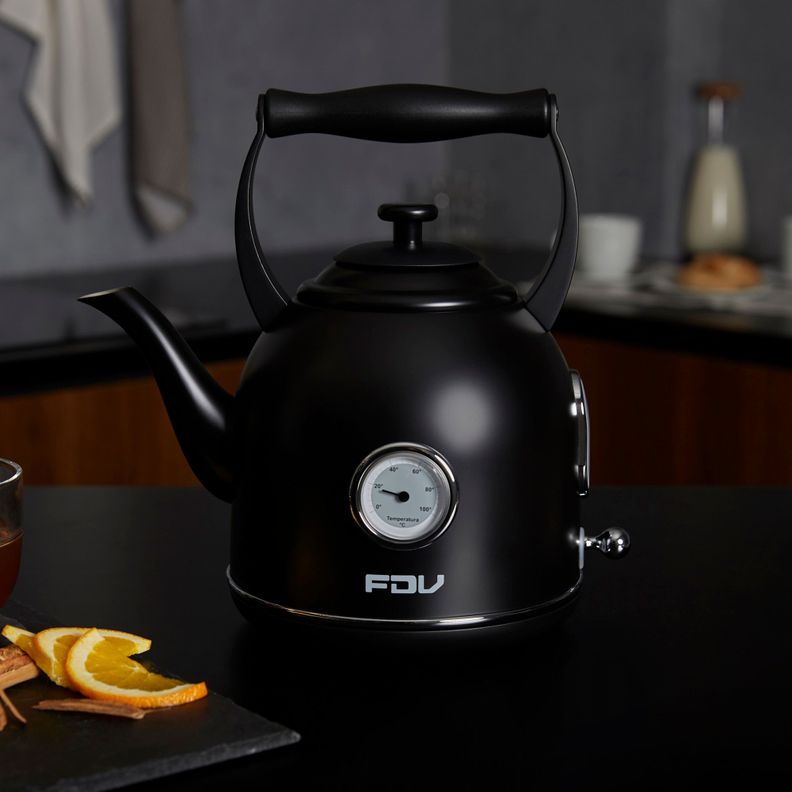 Hervidor FDV Iconic-4