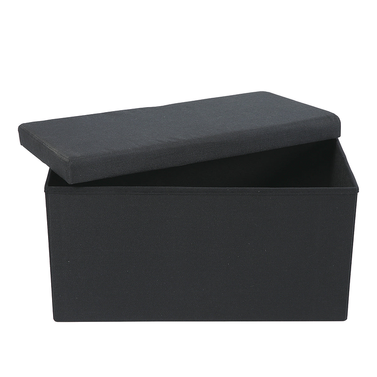 Ba l Organizadora Plegable con Tapa 76X38 cm Negro