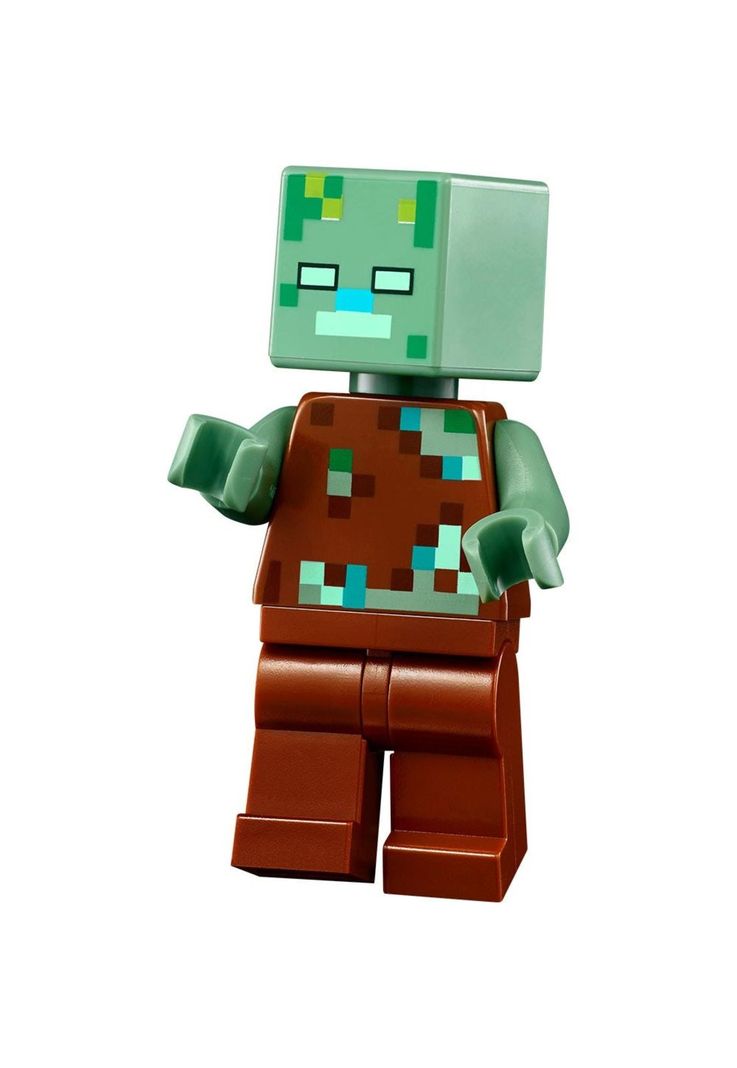 LEGO Minecraft La Casa-Ajolote - 21247-6