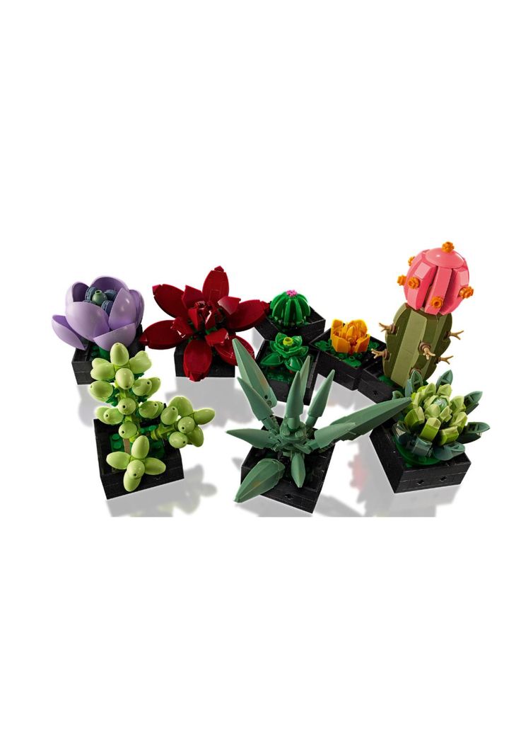 LEGO Suculentas - 10309-2