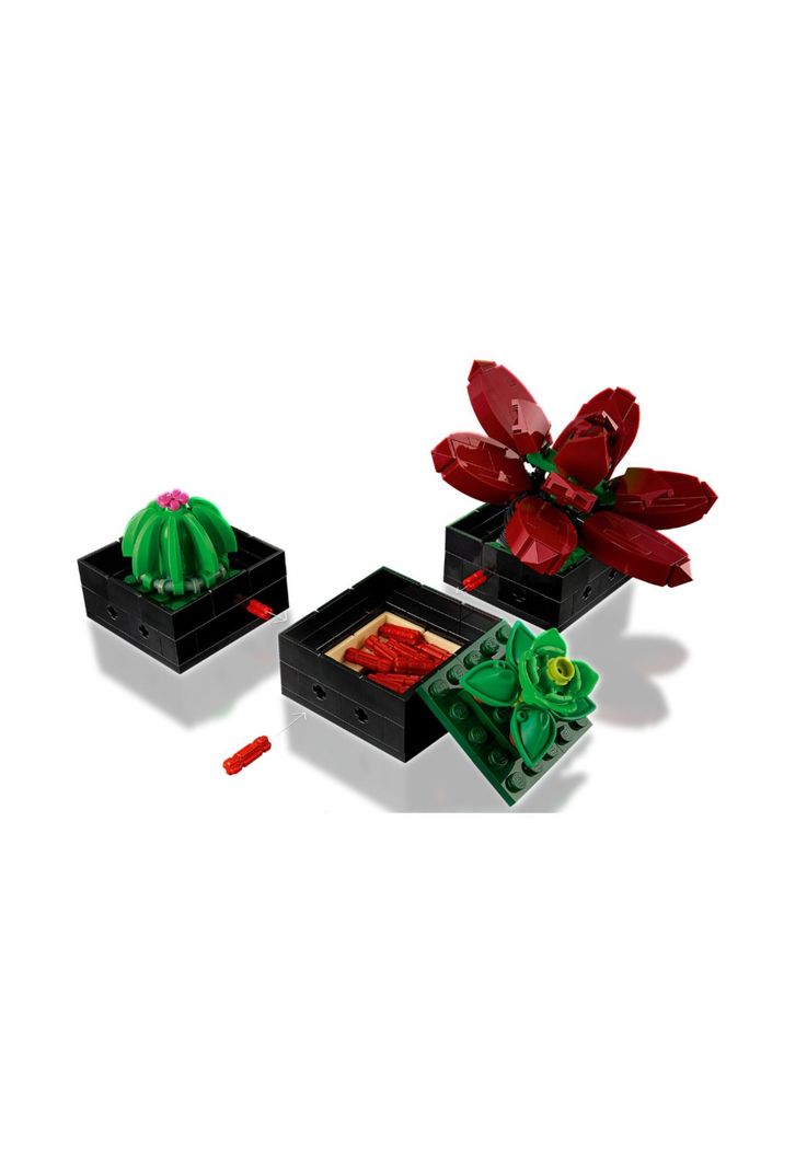 LEGO Suculentas - 10309-3