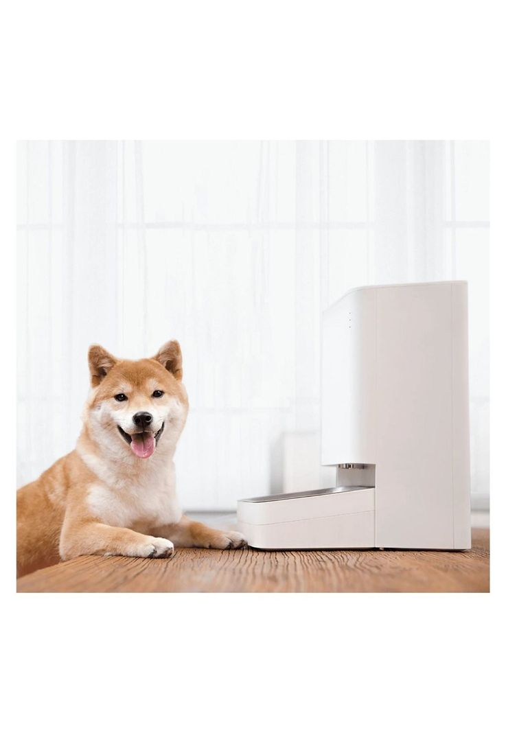 Xiaomi Dispensador Alimentos Smart Pet Food Feeder 3,6L Blanco-4