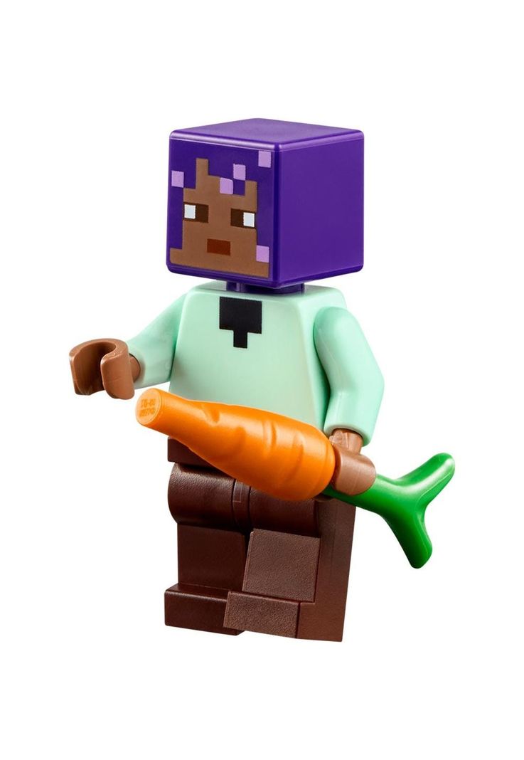 LEGO Minecraft El Santuario de Animales - 21253-2