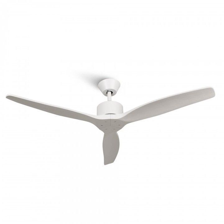 Ventilador de techo-2