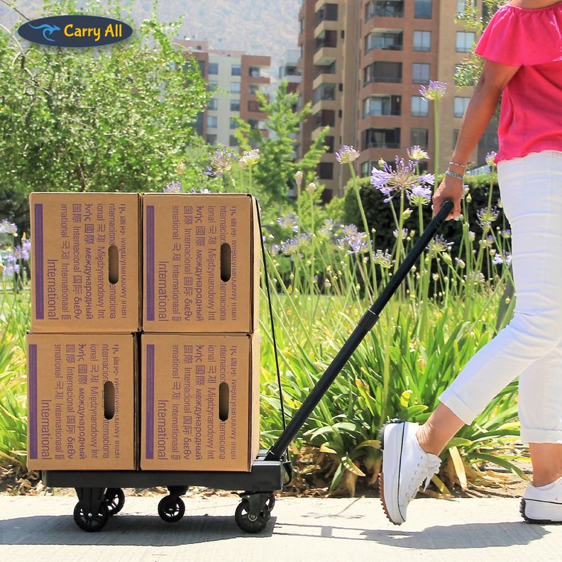 Carro Plegable De Carga Tipo Plataforma 200 Kilos 5 Ruedas Yegua-6