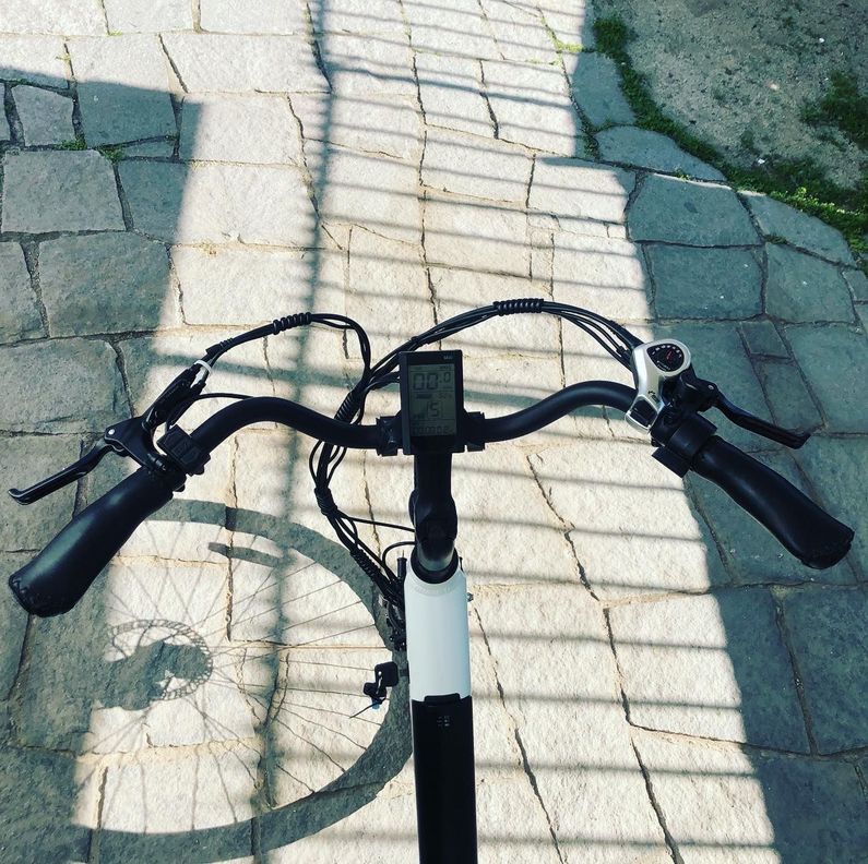 Bicicleta Eléctrica EMA Motor BAFANG 350W-4