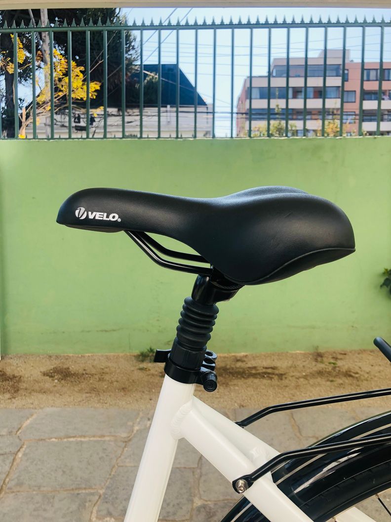 Bicicleta Eléctrica EMA Motor BAFANG 350W-6
