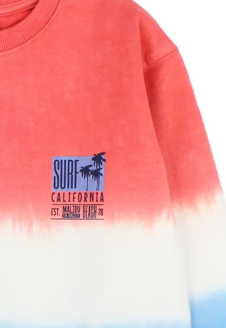 Poleron kids niño cerrado tie dye malibu 247-2