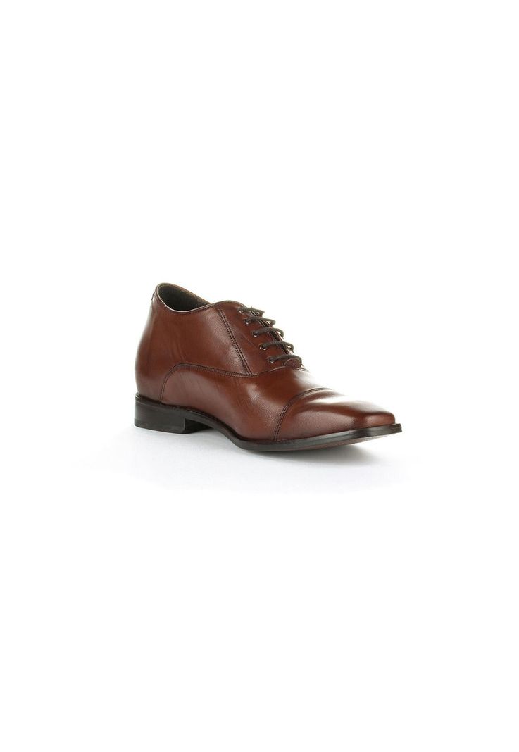 Zapato Hombre Director Café Oscuro Max Denegri +7cms-2