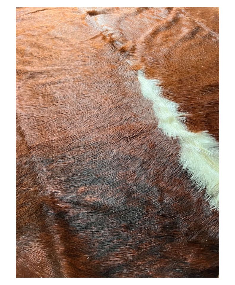 Alfombra Cuero Vaca Premium Negro blanco Manchas-1