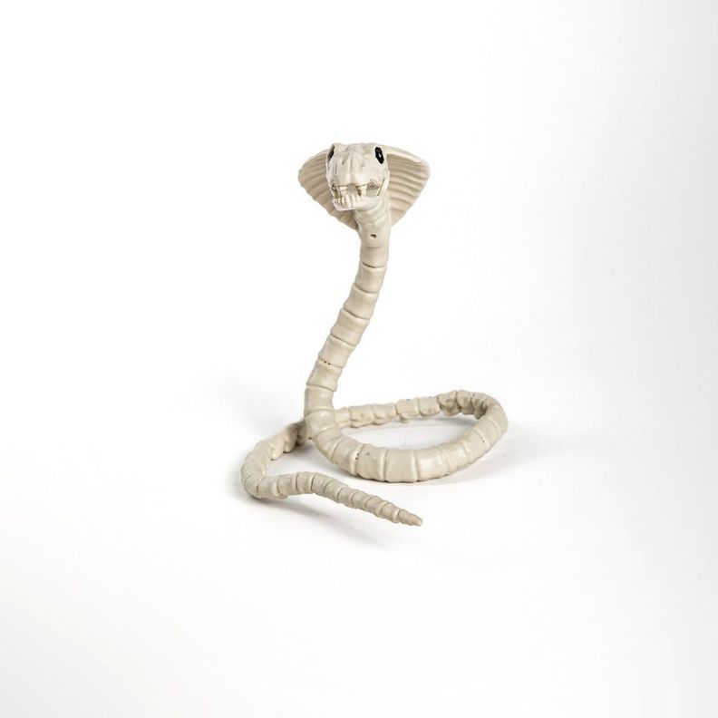 Esqueleto de Cobra
